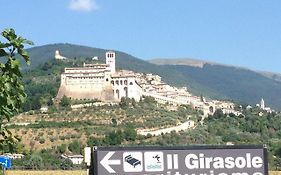 Agriturismo Il Girasole Assisi